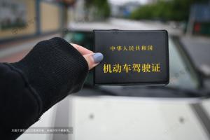 提醒:请各自检查驾驶证,别被吊销了!